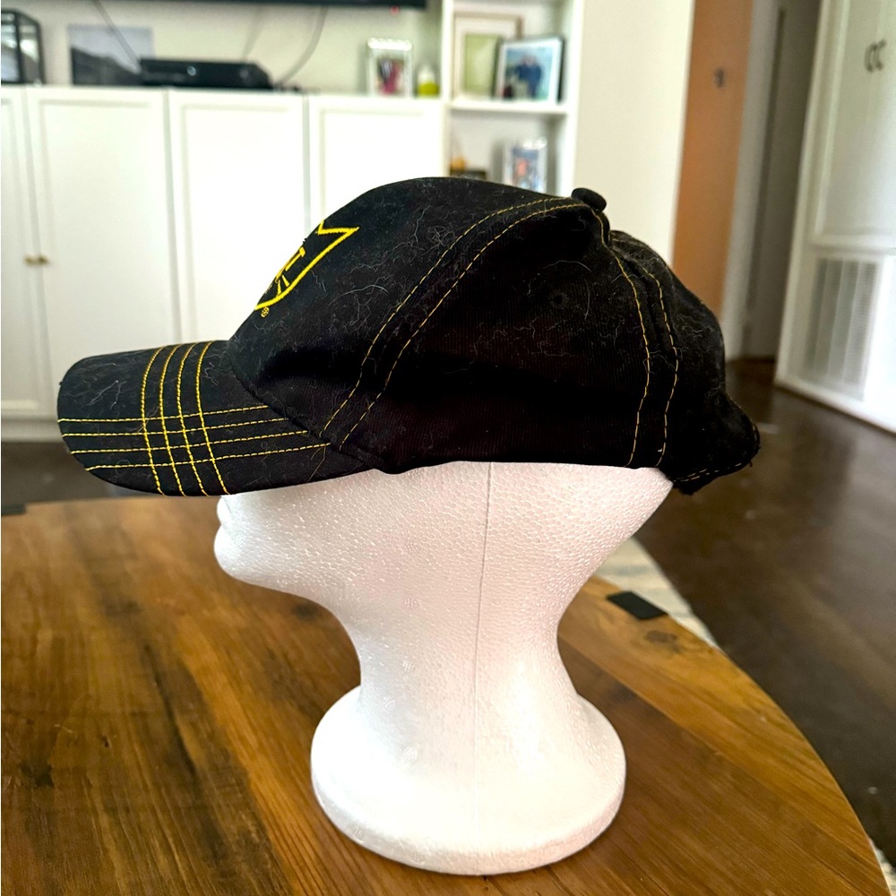 CAT Scale Hat